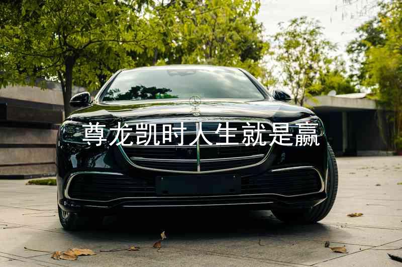 尊龙凯时人生就是赢