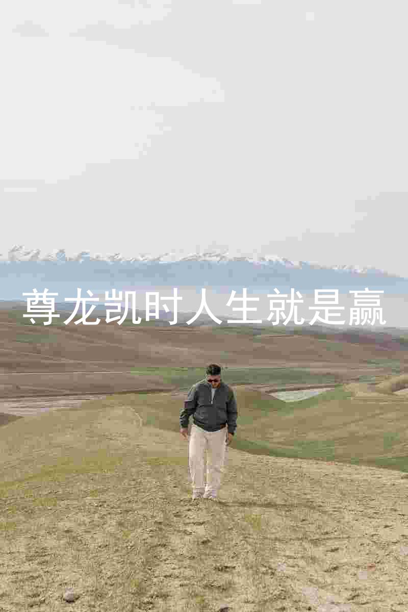 尊龙凯时人生就是赢