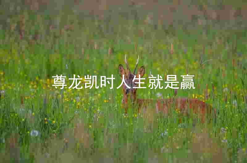 尊龙凯时人生就是赢