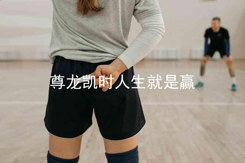 尊龙凯时人生就是赢