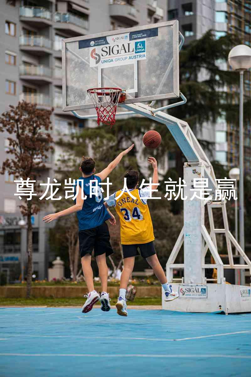 尊龙凯时人生就是赢