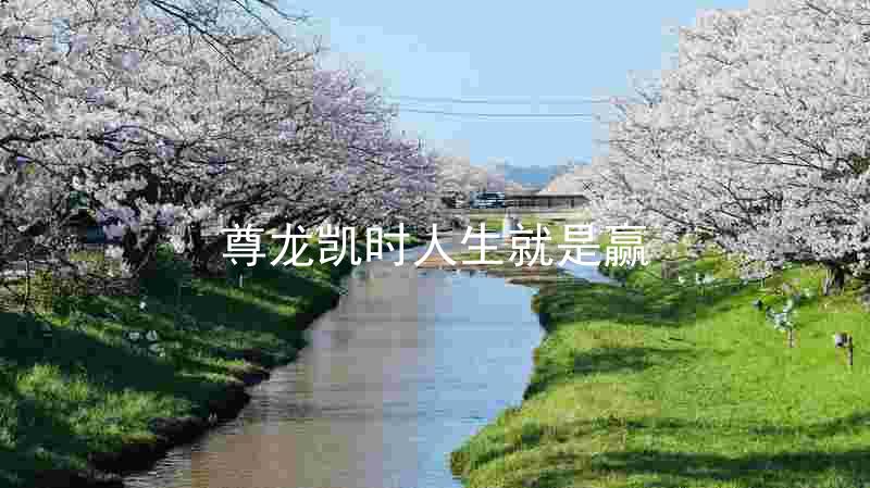 尊龙凯时人生就是赢